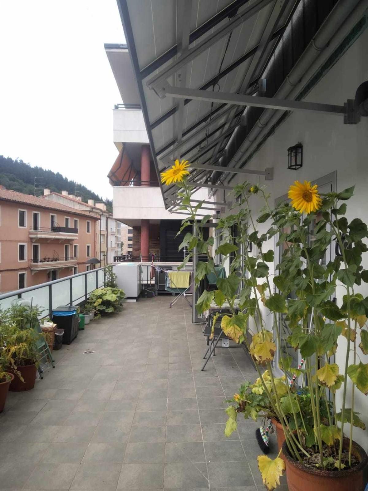 Aldabea II Apartamento Sostenible Legazpia Exterior foto